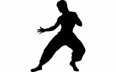 Jeet Kune Do: Innovativ und Effektiv