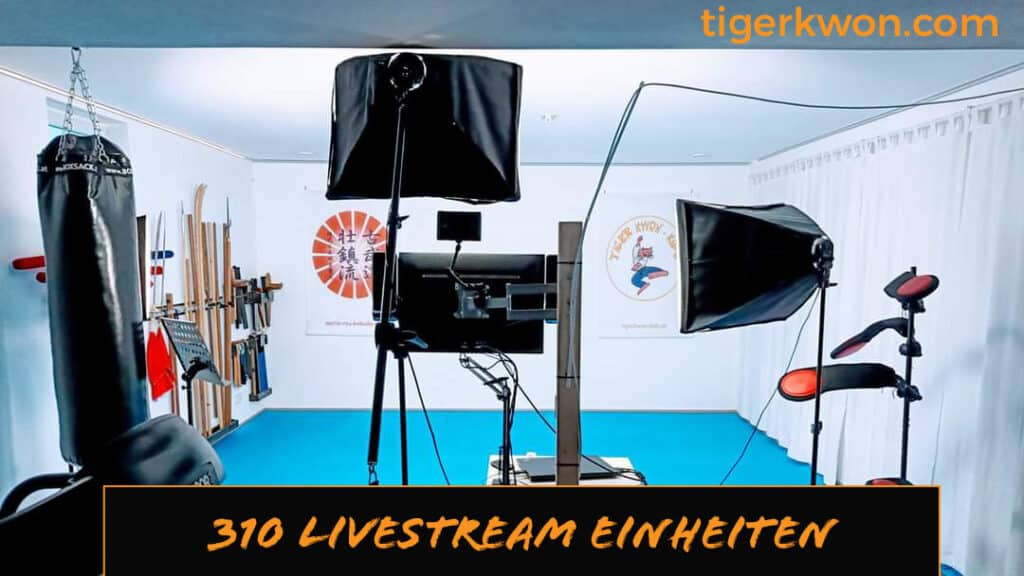 Livestream, Online Trainingsprogramm