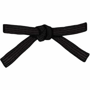 schwarze Gürtel, Dan Grade
