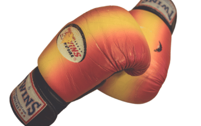 Boxhandschuhe kaufen: Die 7 besten Kauftipps