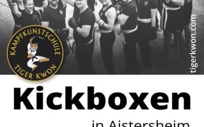 Aistersheim: Neue Kickboxkurse für Anfänger starten ab 03.02.2026